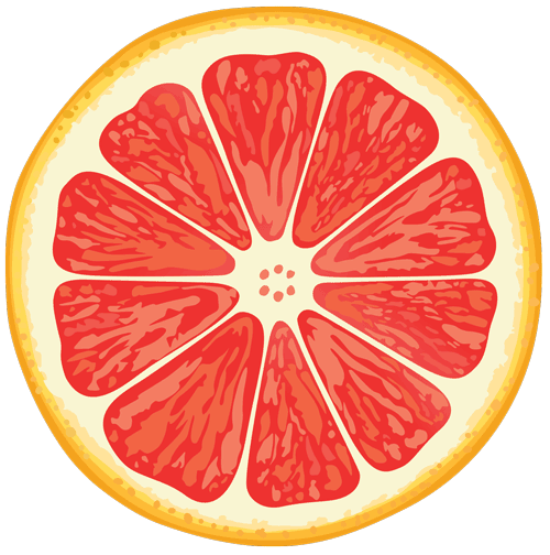 Grapefruit Fresh Squeezed Fruit for Easy Seltzer